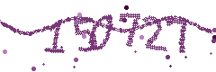 Security verification code