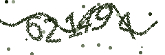 Image with the verification code