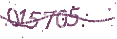 Security verification code