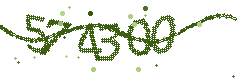 Security verification code