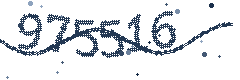 Security verification code