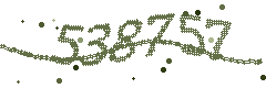 Image with the verification code