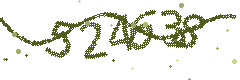 Image with the verification code