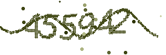 Image with the verification code