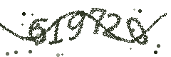 Image with the verification code