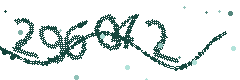 Image with the verification code