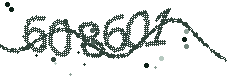 Image with the verification code