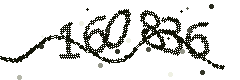 Image with the verification code