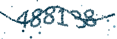 Image with the verification code