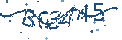 Image with the verification code