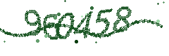 Image with the verification code