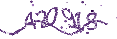 Image with the verification code