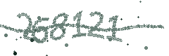 Image with the verification code