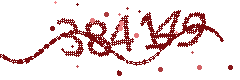 Security verification code