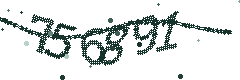 Security verification code