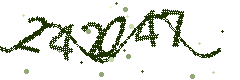 Image with the verification code