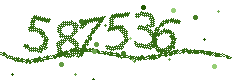 Image with the verification code