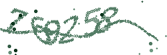 Image with the verification code