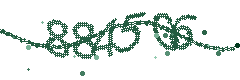 Image with the verification code