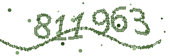 Image with the verification code