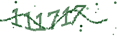 Image with the verification code