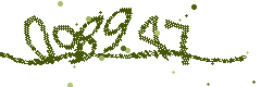 Image with the verification code