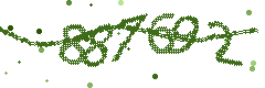 Image with the verification code