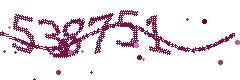 Image with the verification code