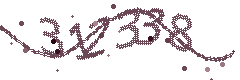 Image with the verification code