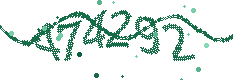Security verification code