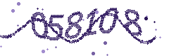Security verification code
