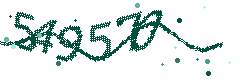 Image with the verification code