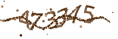 Image with the verification code