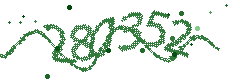 Security verification code