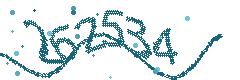 Image with the verification code