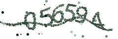 Security verification code