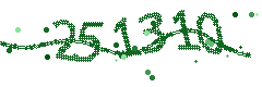 Image with the verification code