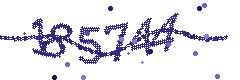 Security verification code