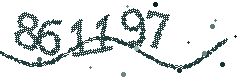 Image with the verification code