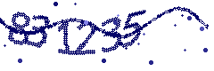 Image with the verification code