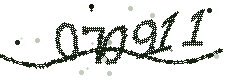 Image with the verification code
