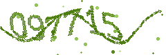Image with the verification code