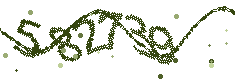 Image with the verification code