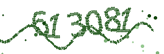 Image with the verification code