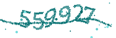 Image with the verification code