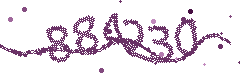 Image with the verification code