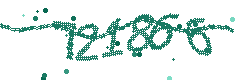 Image with the verification code
