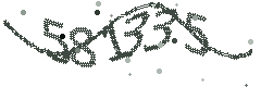 Image with the verification code