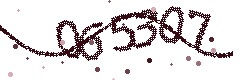 Security verification code