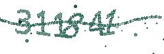 Image with the verification code